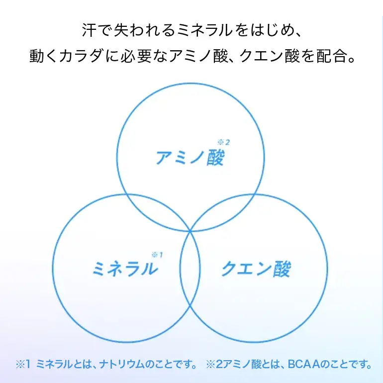 アクエリアス　500ml×24本｜アクエリアス AY12