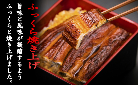 【定期便/計6回】海鮮【惣菜海鮮】BE004