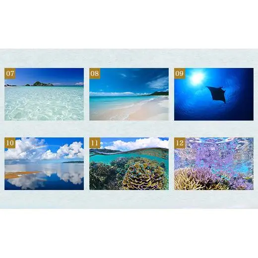 13種類から選べる ISHIGAKI古材フレームフォト A2　BS-7【沖縄県石垣市 沖縄 沖縄県 琉球 八重山 八重山諸島 石垣 石垣島 送料無料 写真  壁掛け】