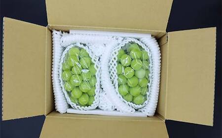 【先行予約 2026年度発送】数量限定 【山形県秋の味覚】シャインマスカット 1kg 2～3房 マスカット ぶどう ブドウ 葡萄 デザート フルーツ 果物 くだもの 果実 食品 山形県 FSY-0803
