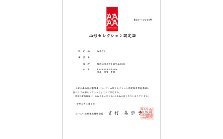 【先行予約（2026年度発送）】糖度14度以上 洋梨 「山形セレクション ラ・フランス」5kg なし ナシ 梨 デザート フルーツ 果物 くだもの 果実 食品 山形県 FSY-1913