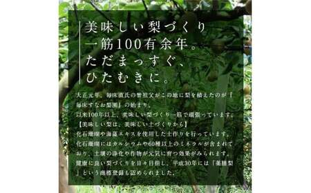FKP9-651 【先行予約】 極あまっ！甘太 (約2.5kg)  ナシ なし 梨 和梨 和なし 和ナシ ブランド梨