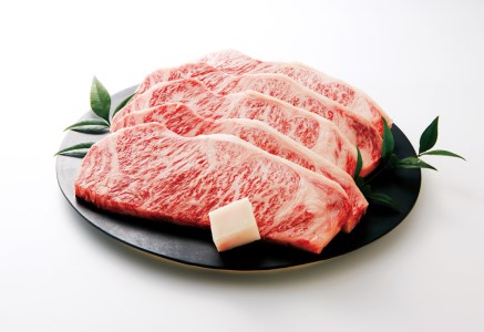 【冷蔵・年4回お届け定期便】特選 黒田庄和牛食べつくしセット（ロース、合計3,190g）　（tokusan-53）