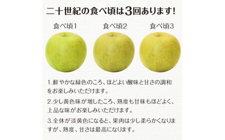 FKP9-685 【先行予約】二十世紀梨（廿世紀梨）約5kg