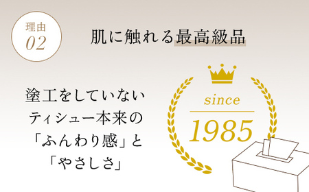ティッシュペーパー スコッティ カシミヤ エンボス 10箱 ボックスティッシュ