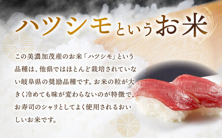令和7年産 お米マイスターが提供 冷めても美味しい 岐阜県美濃加茂産 ハツシモ （ 10kg ） 【2025年12月上旬～2026年7月下旬の間に順次発送予定】