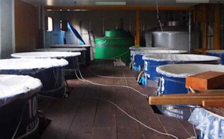 日本酒 『天寶一 福山。』 特別純米酒 (1.8L)[BAFR006] 日本酒