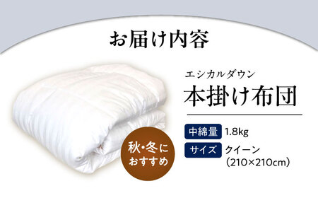 洗える 人工羽毛 掛け布団 クイーン[BAAK004]掛け布団