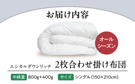 洗える 人工羽毛 2枚合わせ 掛け布団 シングル エシカルダウンリッチ[BAAK053]掛け布団