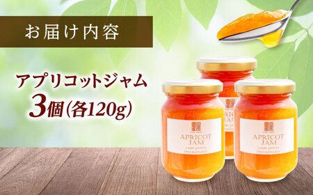 田尻あんず アプリコットジャム 3個入り [BAEK001] ジャム