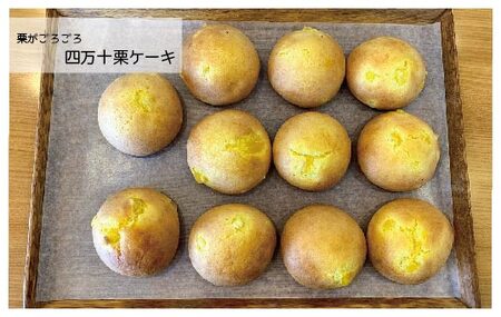 26-676．パンのピノキオ特製　生食パン＆菓子パン詰め合せ