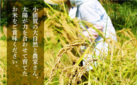 【令和7年度産】おぢかんうまか米 小値賀町産コシヒカリ 3kg 精白米 コシヒカリ [DAB010] 