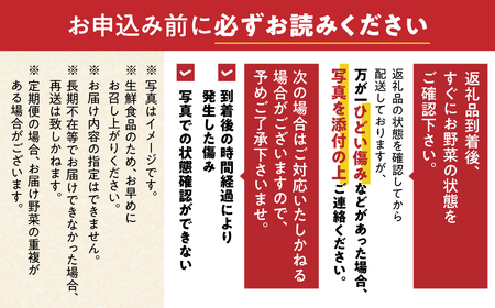 【定期便】旬の野菜・フルーツ詰め合わせ 8品～12品  野菜 果物 フルーツ 定期便 野菜