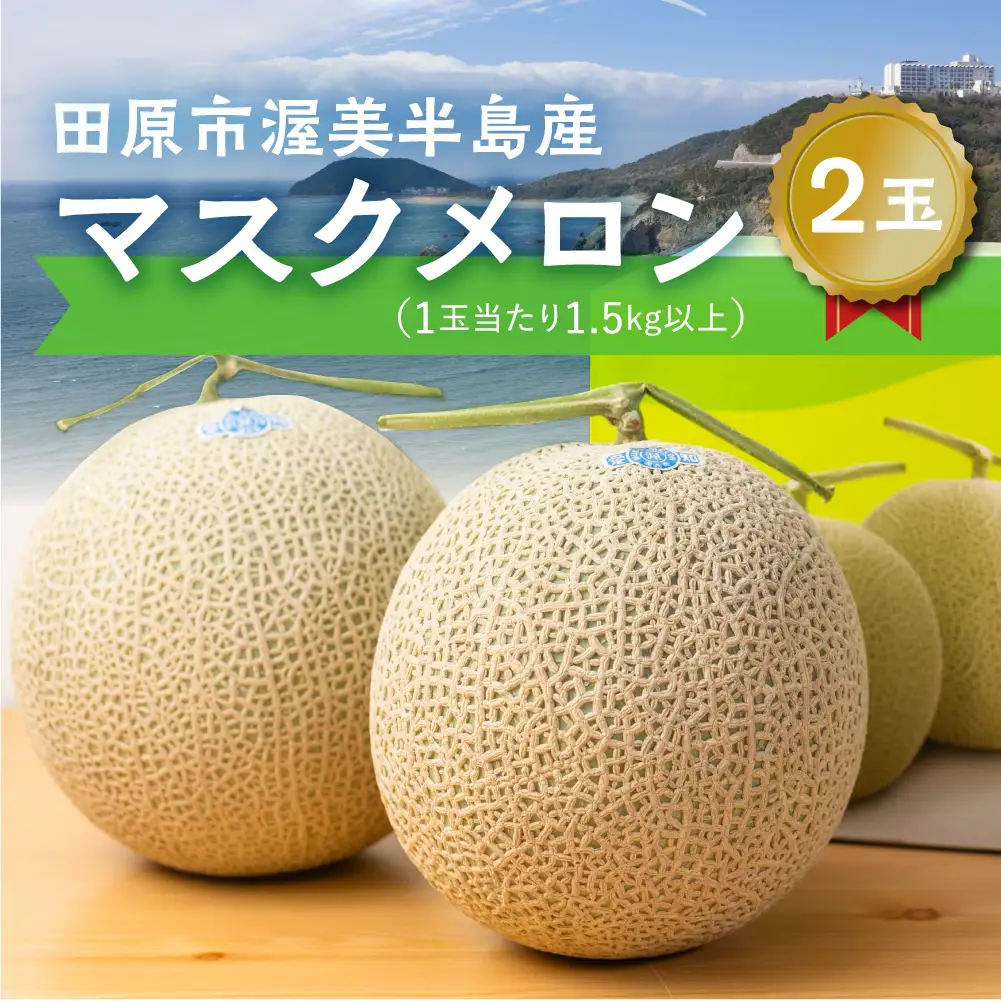 【先行予約-6月中旬～発送】マスクメロン 2玉 メロン マルカベジフル 