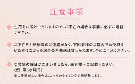 【定期便】 6回 季節のフラワーアレンジメント定期便 かご付 生花