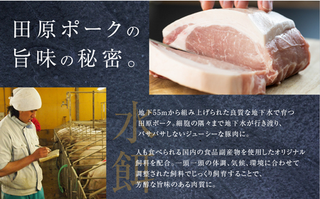 田原ポーク しゃぶしゃぶ 豚肉 食べ比べ 1.2kg 豚肉