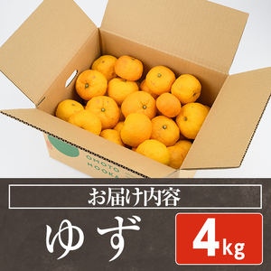＜先行予約受付中！2026年11月上旬以降順次発送予定＞柚子(約4kg)かんきつ 柑橘 期間限定 おもとの丘【111300701】【未来農林】