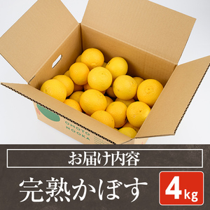 ＜先行予約受付中！2026年11月上旬以降順次発送予定＞完熟かぼす(約4kg)かんきつ 柑橘 期間限定 おもとの丘【111300401】【未来農林】