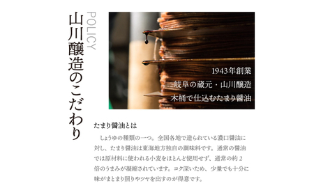 調味料 伝承美濃地溜 3種 みのび・漆黒・頑ぽん 各500ml [ANAD005] 調味料