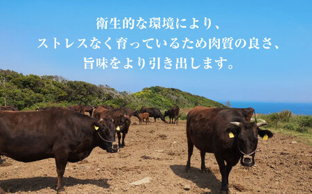 熊本県産 黒毛和牛 サーロイン ステーキ 1枚 約200g【有限会社九州食肉産業】 牛肉 A4 A5 国産 和牛 九州産 熊本サーロインステーキ  [ZDQ020]