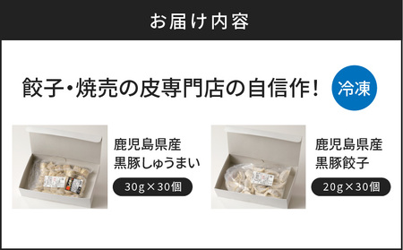 餃子・焼売の 皮専門店 の自信作！ 餃子 と 焼売 の 2点 セット K033-005 肉 豚肉 惣菜 総菜 冷凍