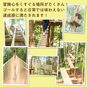 【ふるさと納税】全力で森遊び！アドベンチャーコース 1名様体験チケット [a0409] 株式会社 FOREST DEN 【返礼品】添田町 ふるさと納税