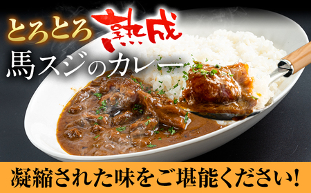 たっぷり！馬スジカレー 10食セット《60日以内に出荷予定(土日祝除く)》馬スジ カレー お肉 馬すじ カレーライス 馬肉 贈答 ギフト グルメ お取り寄せ 熊本県 南阿蘇村 送料無料 個包装 大人気 簡単調理 千興ファーム