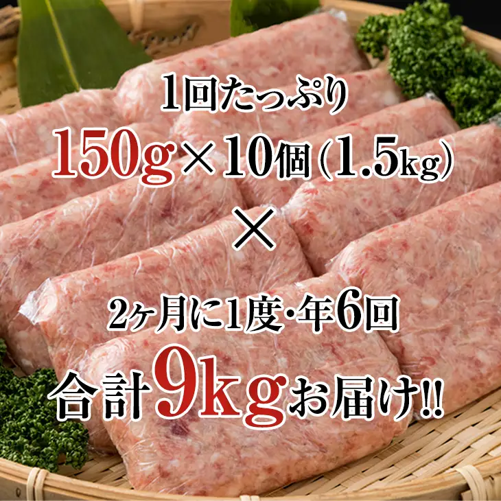 【定期便】佐賀牛入合い挽きハンバーグ（150g×10個）x 6回（偶数月） Q060-002