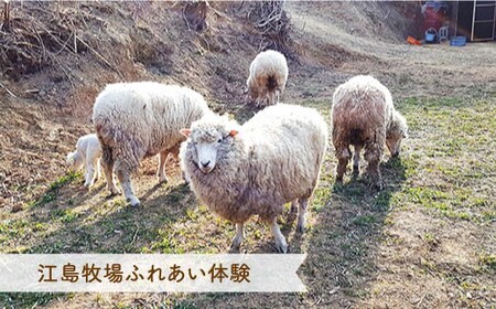 【1日1組限定】宿泊券（1名様）2泊（5食付き）＜江島さとや＞ [CBJ001]宿泊