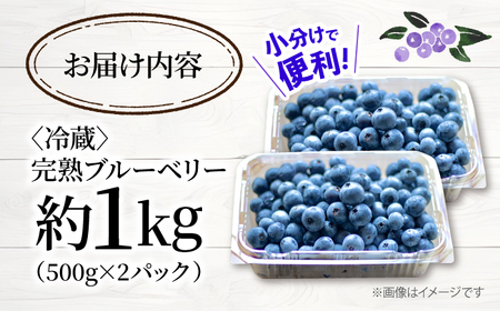 【2026年6月より順次発送】 ブルーベリー 1kg＜広津農園＞[CBN008]  新鮮 産地直送 フルーツ 健康 冷蔵 栽培期間中 農薬不使用 ブルーベリー 果物 果実 