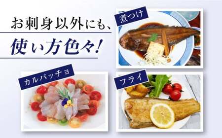 土日配送 先行予約 ヒラメ 堪能5点セットCBW001 ヒラメ