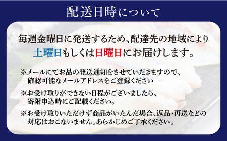 先行予約 シマアジ 堪能5点 [CBW006] アジ