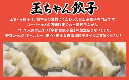 8-3 玉ちゃん餃子8人前（24個×2袋) ぎょうざ ギョーザ おつまみ おかず 惣菜 ※着日指定不可