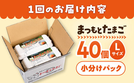 【月1回40個×6回 定期便 】家族のために選びたい「 まつもとたまご 」計240個＜松本養鶏場＞[CCD003] 