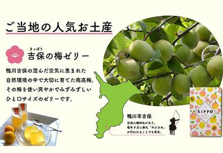 【Kamogawa SEASIDE BASE】浜の食堂 海鮮BBQ利用券 ２人前《飲み放題・お土産付き》　[0040-0018]