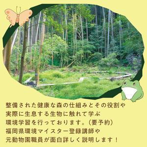 【ふるさと納税】森と触れ合いながら学べる！ワンヘルスコース 1名様体験チケット [a0413] 株式会社 FOREST DEN 【返礼品】添田町 ふるさと納税