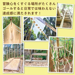 【ふるさと納税】家族みんなで楽しめる！キャノピーコース 1名様体験チケット [a0410] 株式会社 FOREST DEN 【返礼品】添田町 ふるさと納税