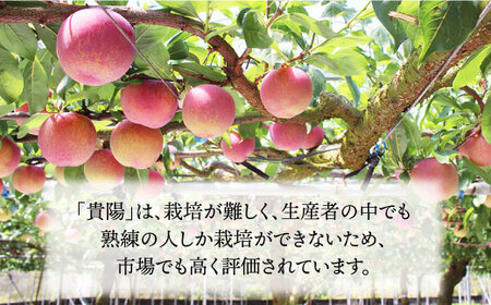 先行予約 プラム 貴陽 計1kg CEB001 スモモ