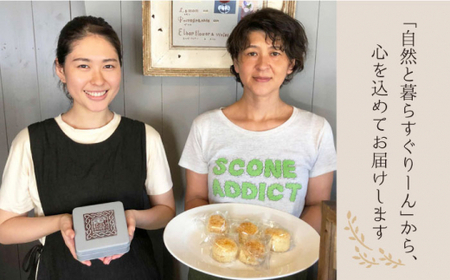 クッキーセット?手紙 to 教会? 自然と暮らすぐりーん CEM003 クッキー