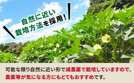 先行予約 オクラ 1kg ＜パッパラパー農園＞ [CFI001] 産地直送 オクラ 新鮮 野菜