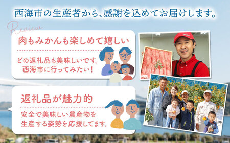 12回定期便 西海の宝物定期便 | CZZ019 定期便