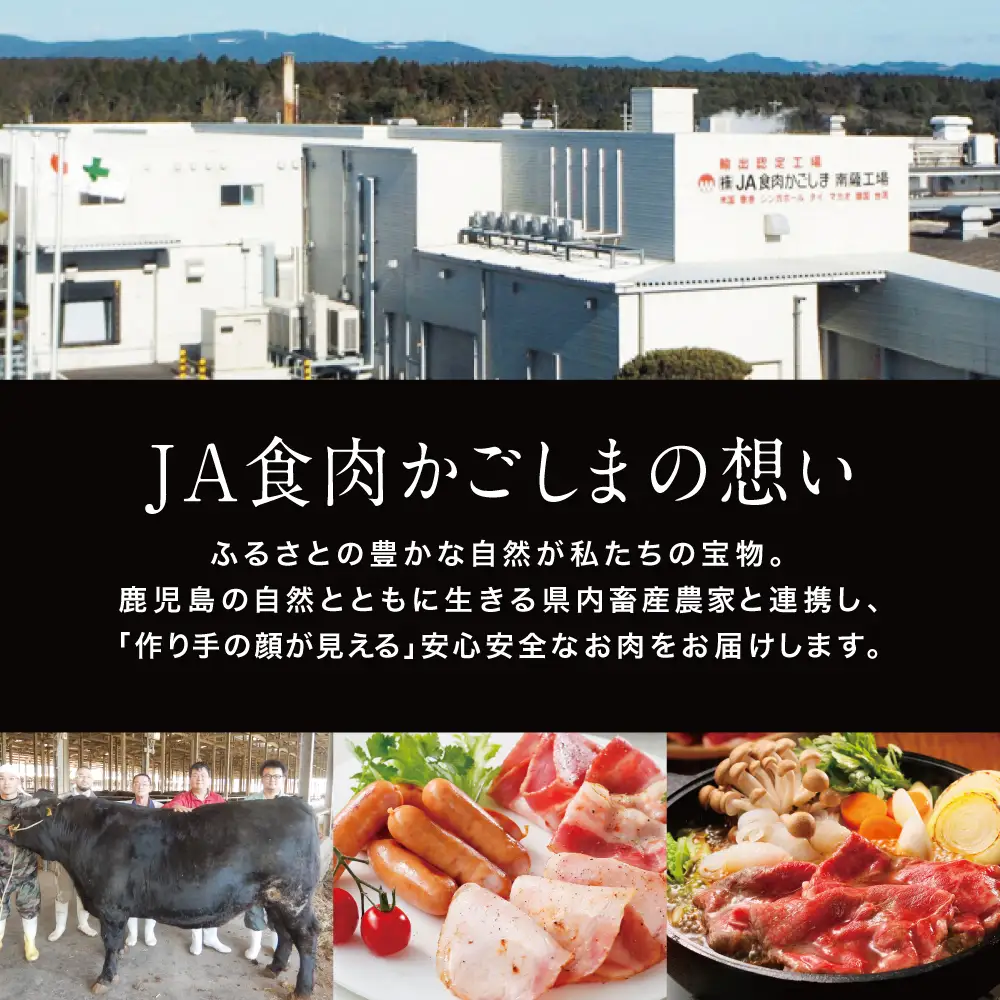 【JA食肉かごしま】鹿児島黒牛 定期便（全6回） かごしまブランド 黒毛和牛 和牛 牛肉 お肉 霜降り 赤身 ステーキ 焼肉 焼き肉 バーベキュー BBQ すき焼き しゃぶしゃぶ 食べ比べ 定期便 JA食肉かごしま 南さつま市