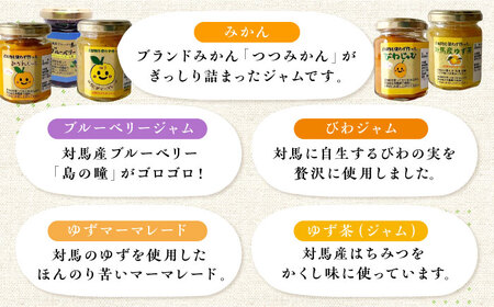 対馬のフルーツジャム 6本(3種類以上)セット フルーツ 果肉 ゆず ジャム ソース [WAM019]