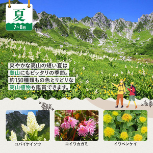 父の日 駒ヶ岳ロープウェイ「往復券」 チケット 入場券 優待券