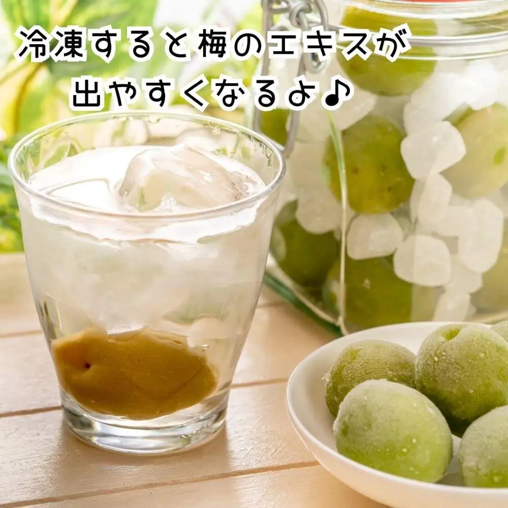 【2026年7月上旬～出荷予定】梅 冷凍 青梅 南高梅 5kg ( 1kg × 5袋) 秀品 2L or Lサイズ 和歌山県産 紀州有田  【みかんの会】