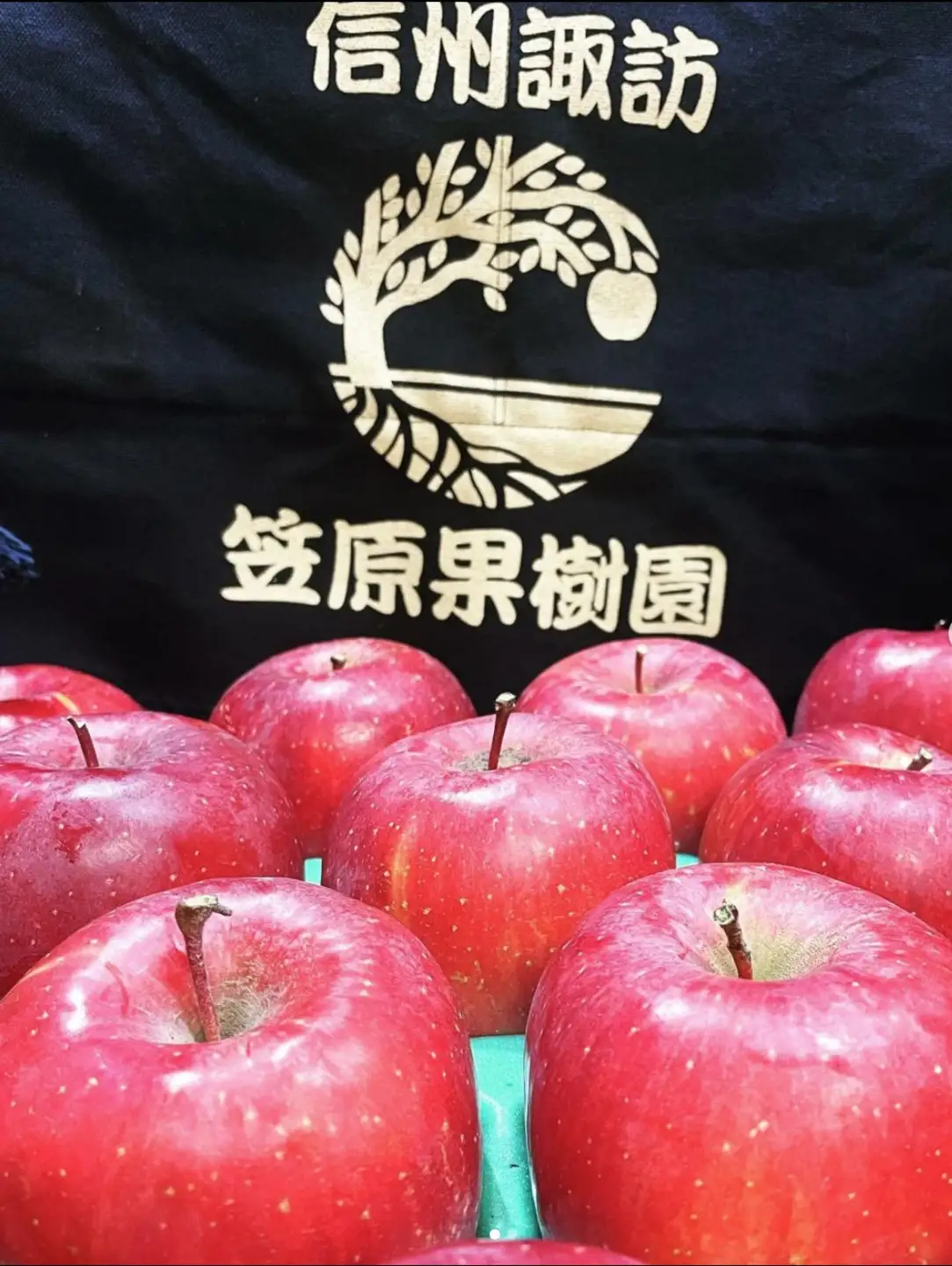 [先行予約2026年12月発送]信州産りんごジュース 1L瓶詰め 6本[箱入り]/笠原果樹園[80-01]