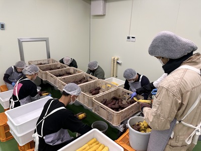 生芋　10kg　S～Lサイズ混合　1箱 いも長 ｜ さつまいも いも 生いも 紅はるか 国産 ※離島への配送不可 ※2025年12月下旬頃より順次発送予定