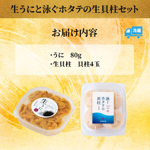 fn-39-016 ＜先行予約！＞ 生うに (80g) と泳ぐホタテの生貝柱 (貝柱4玉) セット 【令和8年5月上旬から7月下旬頃期間限定 お届け便】 ヤマキイチ商店
