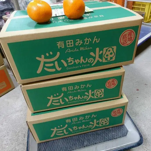 ［先行予約］有田みかん  秀品 3kg（箱込み）+痛み保障増量　木成り完熟［贈答用］大ちゃんの畑農園