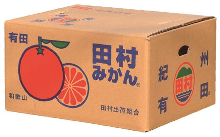 田村みかん 特選ギフト品 3kg サイズおまかせ 赤秀 / 紀州和歌山有田郡湯浅町田村地区産 ◆2026年11月下旬～2027年1月中旬頃に順次発送予定(お届け日指定不可)　紀伊国屋文左衛門本舗 / 田村みかん みかん 蜜柑 柑橘 果物 フルーツ 【kmtb308B】